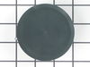 292384-2-S-GE-WR17X1586         -Ice Maker Dispenser Door