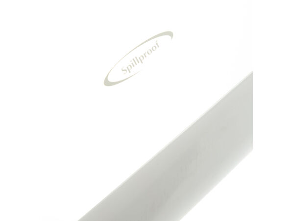 300668-1-M-GE-WR32X10219        -SHELF CANT FF ENCAP