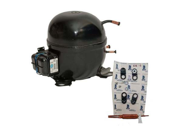 310149-1-M-GE-WR87X257          -COMP/W OIL