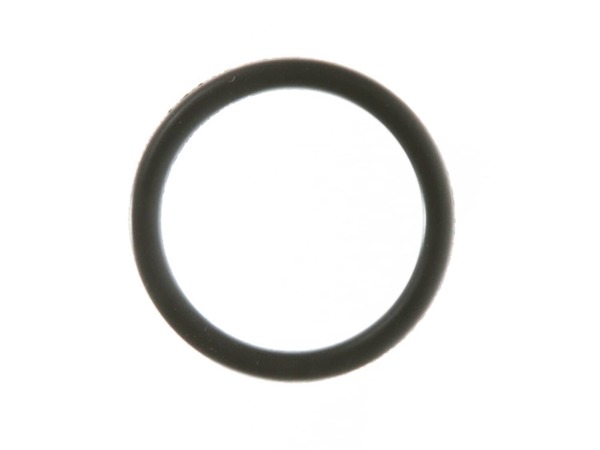 311060-1-M-GE-WS03X10011        -O-Ring Seal