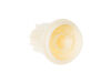 311137-2-S-GE-WS14X10002        -DISTRIBUTOR TOP