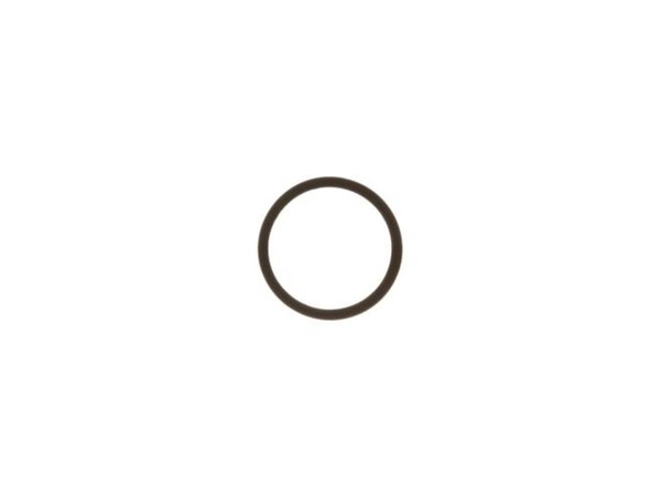 311351-1-M-GE-WS60X10003        -O-Ring