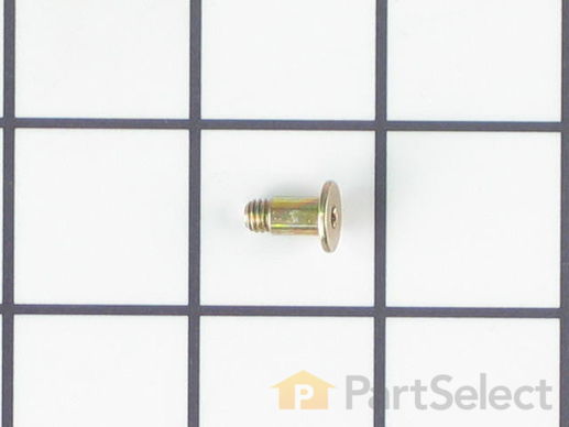 321957-1-M-Whirlpool-2005921           -Screw
