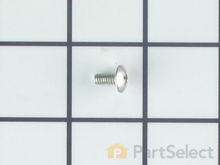 Screw – Part Number: 2006253