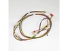 HARNESS-IGNITOR – Part Number: 316580620