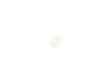 3486450-2-S-GE-WB01X10418-PLASTIC NAIL