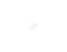 3486450-3-S-GE-WB01X10418-PLASTIC NAIL