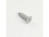 Washer Screw – Part Number: 137380600