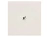 SCREW-TAPPING (M4 X L14) – Part Number: WH02X10325