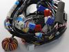 3530247-2-S-LG-6877ER1044C-Harness,Multi