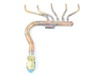 TUBE ASSEMBLY,MENIFOLD(I – Part Number: 5211A20465K