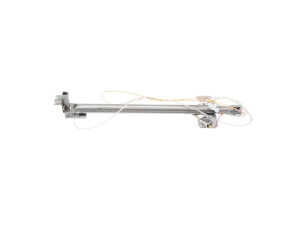 3613690-1-M-LG-ABF72989701-BURNER ASSEMBLY