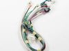 3653484-2-S-Frigidaire-242018901-HARNESS