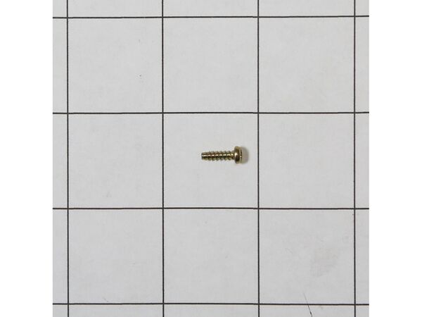 377957-1-M-Whirlpool-489136            -SCREW