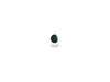 Touch-up Paint - Hunter Green – Part Number: 8171651