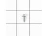 Self-Tapping Screw (Black) – Part Number: 6002-000241