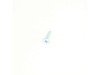 Screw – Part Number: 6002-001120