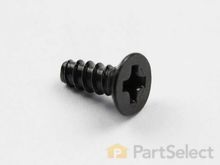 Taptype Screw – Part Number: 6003-001001