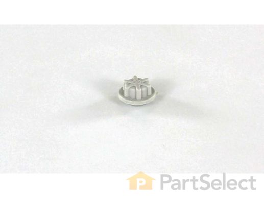 4136861-1-M-Samsung-99002654-CAP, WASH ARM