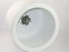 417610-2-S-Frigidaire-131370400         -Tub and Trunnion
