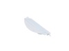 418307-2-S-Frigidaire-131622202         -Lint Trap Cover