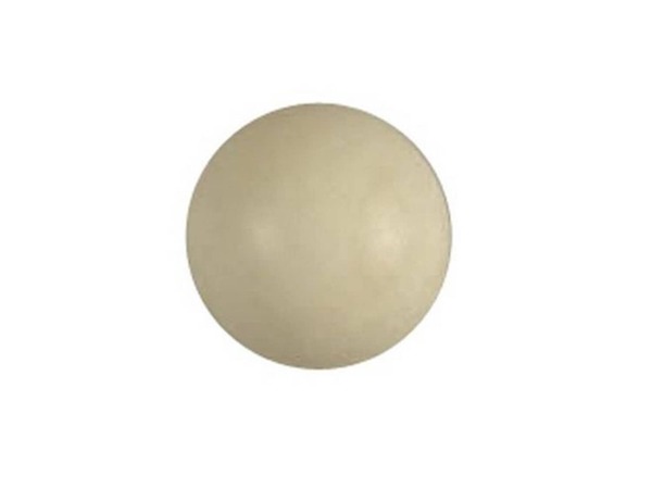 420460-1-M-Frigidaire-154246402         -Pump Check Ball