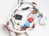 4216287-2-S-Samsung-DC93-00311B-Main Wire Harness