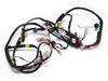 4216874-2-S-Samsung-DC96-01043E-Main Wire Harness
