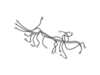WIRE HARNESS-COOKTOP B;F – Part Number: DG39-00024A