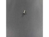 436929-2-S-Frigidaire-316021109         -SCREW