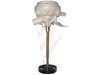DISCONTINUED – Part Number: 5300165317