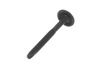 459596-2-S-Frigidaire-5303280308        -Screw