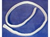 460194-3-S-Frigidaire-5303283286        -Front Lower Drum Seal