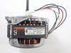 470475-2-S-Frigidaire-5303943152        -MOTOR AND RELAY