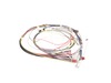 HARNESS – Part Number: 316580330