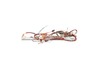 5574007-2-S-Frigidaire-137161400-HARNESS