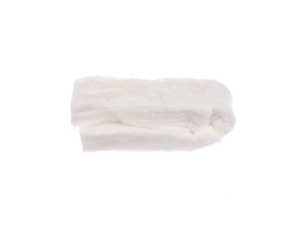651477-1-M-GE-WB35T10077        -Door Insulation
