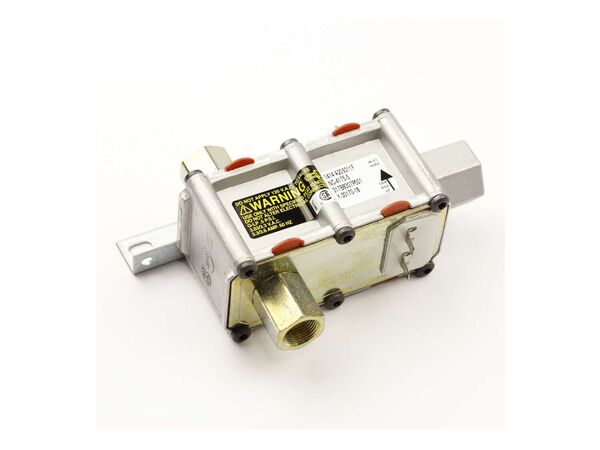 7320232-1-M-GE-WB21K10160- VALVE CONTROL Assembly