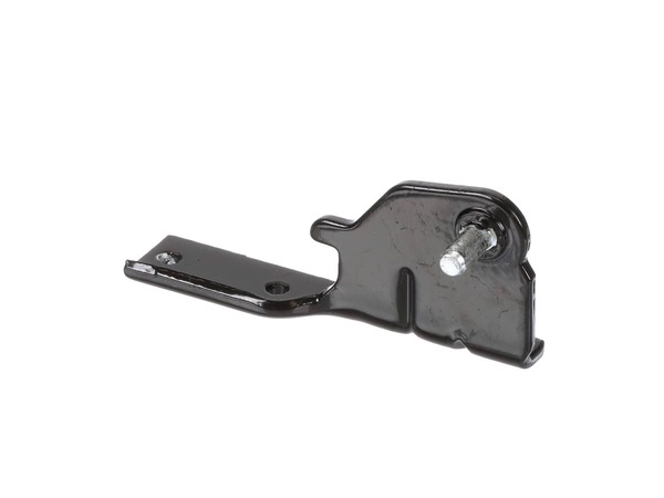 7321753-1-M-LG-AEH73856204-Center Hinge Assembly