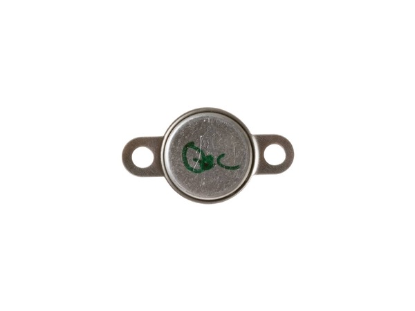755806-1-M-GE-WE04X10094        -Thermal Limiter