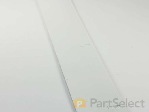 7787200-1-M-LG-ACW69410204-DECOR ASSEMBLY