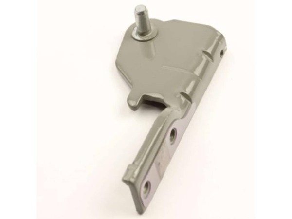7788121-1-M-LG-AEH73856208-HINGE ASSEMBLY,CENTER