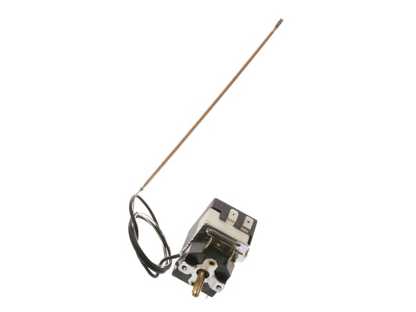 783541-1-M-GE-WB20T10012        -Thermostat