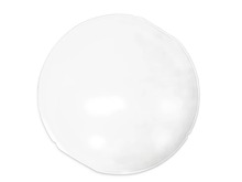 Outer Door Lens – Part Number: 137577700