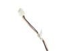 8690658-3-S-GE-WH19X10087-HARNESS - PRESSURE