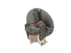 MOTOR – Part Number: 139008500