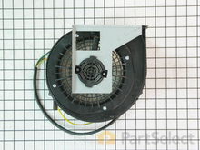 FAN DRUM – Part Number: 00487460