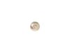 SCREW 10-16 2 1/2 IN T20 – Part Number: WB01T10129