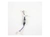 HARNESS WIRE T012 GT – Part Number: WB18T10542