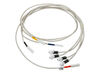 HARNESS HV – Part Number: WB18X20845